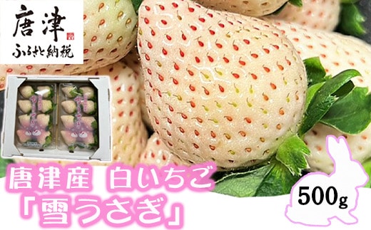 『先行予約』【令和8年2月中旬発送】唐津産 白いちご「雪うさぎ」苺 イチゴ 希少 果物 フルーツ ハマファーム