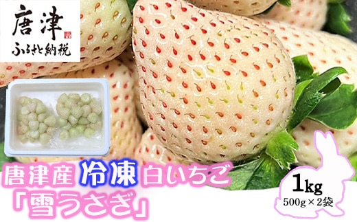 唐津産 冷凍白いちご「雪うさぎ」500g×2袋(合計1kg) 真空包装 加工品用 苺 イチゴ 希少 果物 フルーツ