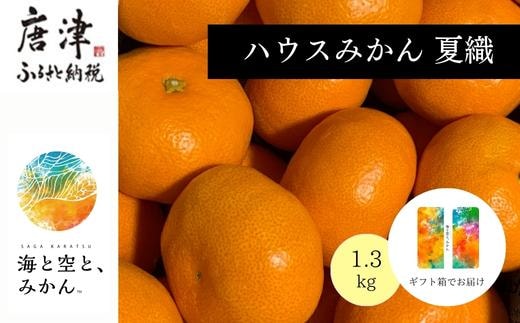 『先行予約』【令和8年6月より順次発送】夏の極上ハウスみかん「夏織」1.3kg 贈答箱・ギフトボックス入り ～海と空と、みかん～ 甘くてとろける夏の果物に ミカン フルーツ 柑橘