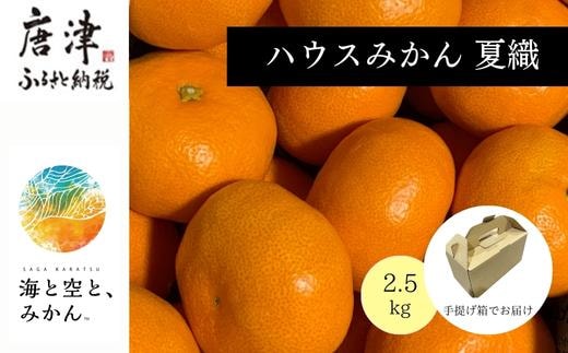 『先行予約』【令和8年6月より順次発送】夏の極上ハウスみかん「夏織」2.5kg 手提げ箱入り～海と空と、みかん～甘くてとろける夏の果物 ミカン フルーツ 柑橘 ギフト