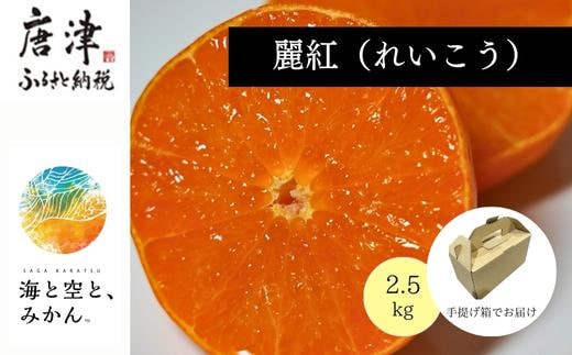 『先行予約』【令和8年1月中旬発送】唐津産ハウス育ち「麗紅」2.5kg 手提げ箱入り ～海と空と、みかん～ ミカン フルーツ 柑橘 ギフト
