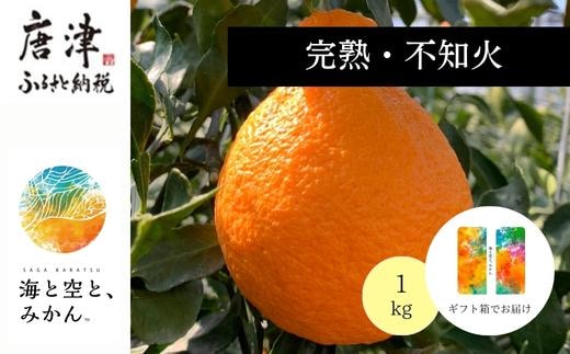 『先行予約』【令和8年1月下旬発送】唐津産ハウス育ち「不知火」1kg 贈答箱・ギフトボックス入り ～海と空と、みかん～ デコポン ミカン みかん 柑橘 ギフト