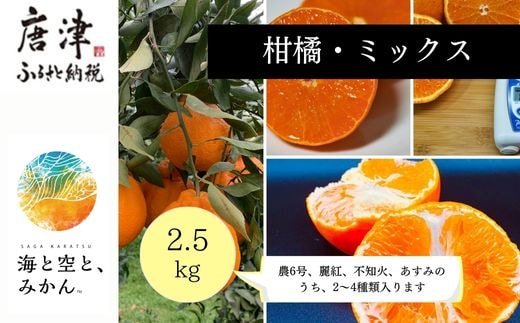 『先行予約』【令和8年1月中旬発送】唐津産ハウス育ち柑橘セット 2.5kg 手提げ箱 (麗紅・あすみ・不知火・農6号の中から2〜4種) 品種おまかせ 〜海と空と、みかん〜 ミカン フルーツ 柑橘 ギフト