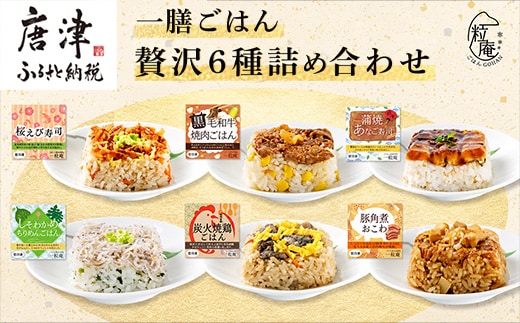 一膳ごはん 贅沢6種詰め合わせ 冷凍 総菜 簡単調理 お手軽 小分け 簡単 小分け