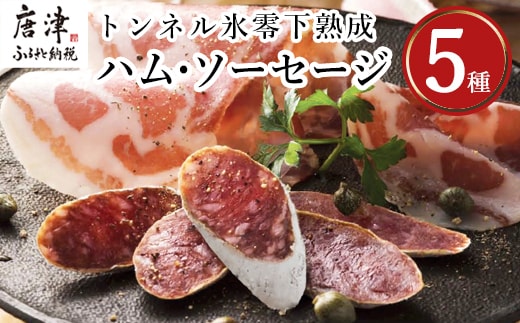 トンネル氷零下熟成ハム・ソーセージセット TPC-2 詰合せ おかず おつまみ サラミ 生ハム ベーコン セット ギフト