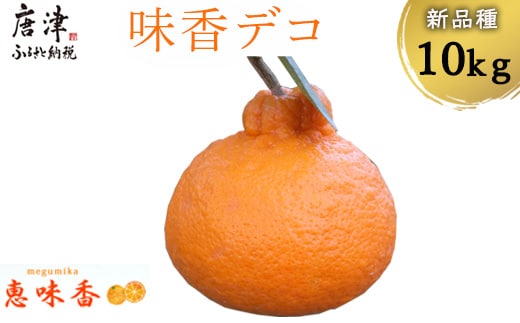 『先行予約』【令和8年3月上旬発送】糖度が高すぎッ！味香デコ 10kg 新品種 果皮も美味しく食べられる！フルーツ 果物 デザート 柑橘