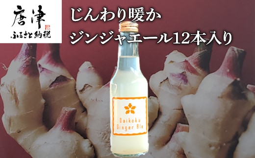 生姜濃縮 ジンジャエール 250ml×12本 生姜の味がギューッと1本に濃縮
