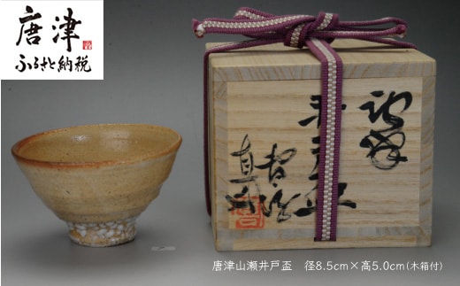 唐津焼 唐津山瀬 井戸盃 ＃irodoriからつ四季の返礼品