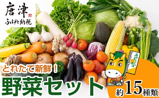 野菜セット 新鮮とれたて旬の野菜 季節の野菜 詰合せ サラダ