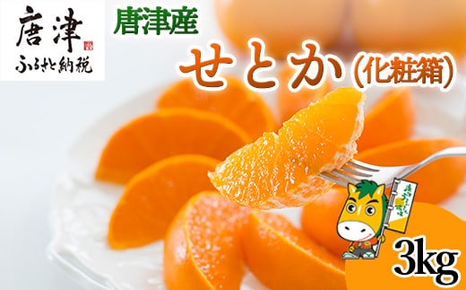『先行予約』【令和8年1月下旬発送予定】唐津産 せとか 3kg 化粧箱 みかん ミカン オレンジ フルーツ 果物 ギフト
