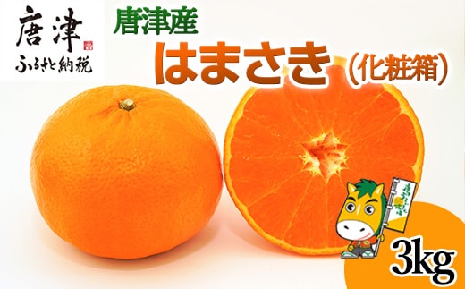 『先行予約』【令和8年1月下旬発送予定】唐津産 はまさき 3kg 化粧箱 みかん ミカン オレンジ フルーツ 果物 ギフト