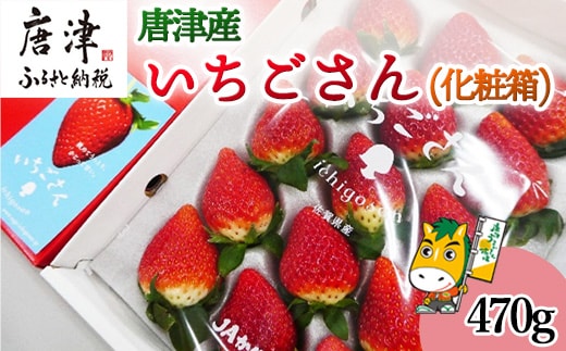 『先行予約』【1月中旬より順次発送】佐賀県唐津市「いちごさん」化粧箱 470g いちご 苺 イチゴ 化粧箱 ギフト
