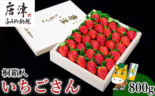『先行予約』【1月中旬より順次発送】佐賀県唐津市「いちごさん」桐箱 800g いちご 苺 イチゴ 桐箱 ギフト
