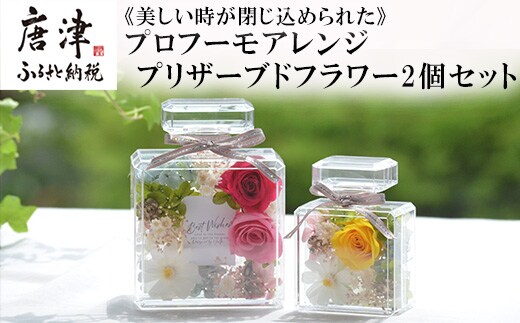 《美しい時が閉じ込められた》プロフーモアレンジ2個セット プリザーブドフラワー インテリア 置物 かわいい おしゃれ ハンドメイド 贈り物 ギフト 誕生日 枯れないお花