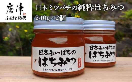 日本ミツバチの純粋はちみつ 240g×2個 (合計480g) 瓶 自然 蜜