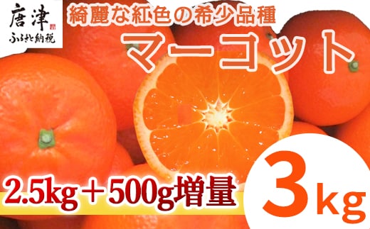 『先行予約』【令和8年2月中旬発送】マーコット(ハウス栽培) 唐津産 3kg みかん ミカン 果物 フルーツ