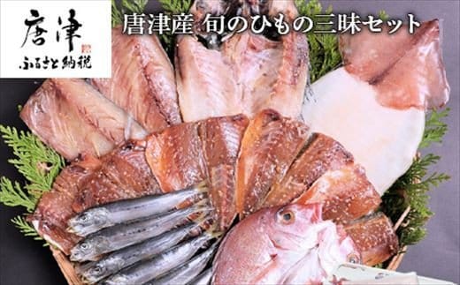 グルメ大賞受賞 唐津産 旬のひもの三昧セット 唐津産 旬サバ 旬アジみりん 金時鯛一夜干し(旬の白身魚干物)呼子 イカ一夜干し 大分産真イワシ丸干し トロあじ開き 6種17尾 干物セット 干物