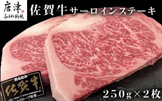 佐賀牛サーロインステーキ 250g×2枚(合計500g) 牛肉 ステーキ BBQ アウトドア