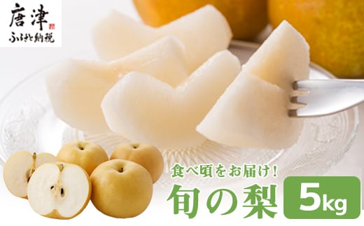 『先行予約』今が食べ頃 特栽 旬の梨5kg【令和8年の夏ごろの発送】和梨 幸水 豊水 新高 あきづき 愛宕 果物 フルーツ くだもの