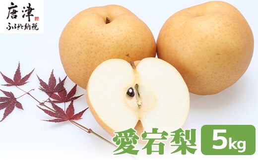 訳あり 今が食べ頃 特栽 旬の梨5kg 愛宕梨 果物 フルーツ くだもの