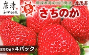 『先行予約』【令和8年2月より順次発送】濃厚苺 さちのか 250g×4パック(合計1kg) 濃厚いちご 苺 イチゴ 果物 フルーツ ビタミン
