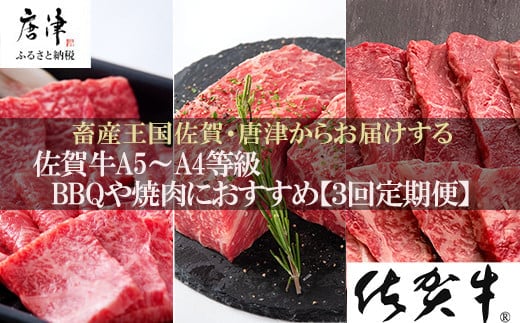 「定期便全3回」 佐賀牛 BBQや焼肉好きな方におすすめ 寄附翌月から発送 6種盛360g モモブロック800g ヒレ300g (合計1.46kg) A5～A4等級 ギフト 贈り物 アウトドア