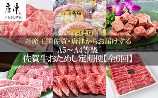 「定期便全6回」 佐賀牛 お試し定期便 寄附翌月から発送 (合計2.84kg) A5～A4等級 ギフト 贈り物