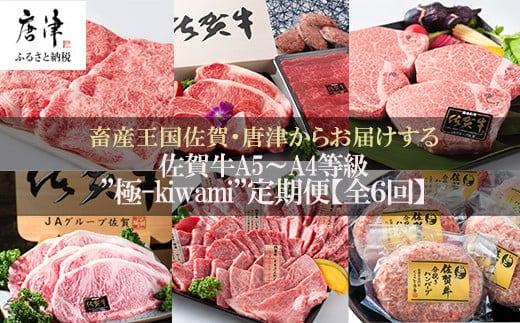 「定期便全6回」 佐賀牛 極-kiwami- 寄附翌月から発送 A5～A4等級 ギフト 贈り物