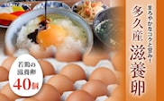 まろやかなコクと甘み！多久産 滋養卵 40個 卵 若鶏の滋養卵 _a-92