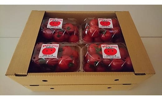 b-249 採れたてミディトマト ４ｋｇ【５００ｇ×８パック】