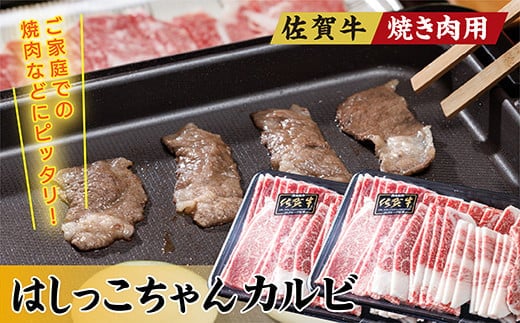 佐賀牛 焼き肉用 はしっこちゃん カルビ 500g × 2パック 計1kg _b-293