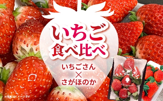 いちご食べ比べ（いちごさん・さがほのか） _b-497