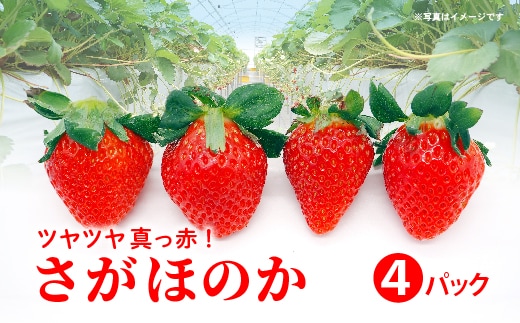 さがほのか 4パック _b-498