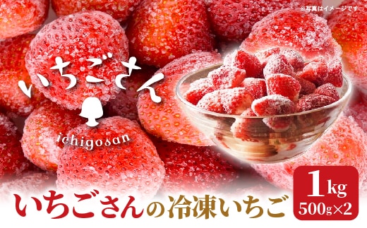 冷凍いちご（いちごさん）1kg（500g×2） _b-502