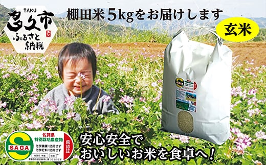 【令和8年産 新米】しょうちゃんの棚田米 夢しずく 玄米 5kg 佐賀県産 米 栽培期間中農薬・化学肥料不使用 _b-94