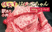 b-406 佐賀牛小肉「はしっこちゃん」
