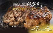 b-477 佐賀牛入り ハンバーグ 親子セット 100g×7個 150g×5個
