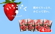 いちごさん 4パック _b-496
