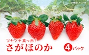 さがほのか 4パック _b-498
