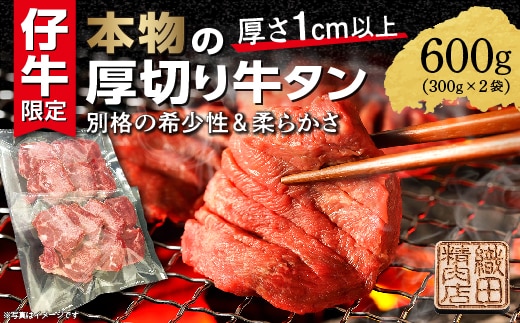 b-445 厚切り牛タンステーキ 塩味 600g（300g×2）