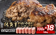 b-149 がばいうまか！佐賀牛入りハンバーグ18個