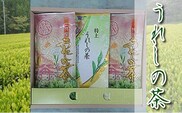 b-163 うれしの茶（嬉野茶）特上・特撰セット