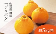 【2027年2月から順次発送】 佐賀産 柑橘 みかん 『 デコポン』約 5kg 箱 かんきつ 不知火 しらぬい 糖度13度以上 _b-379