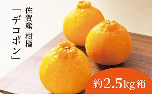 【2027年2月から順次発送】 佐賀産 柑橘 みかん 『 デコポン』約 2.5kg 箱 かんきつ 不知火 しらぬい 糖度13度以上 _b-378