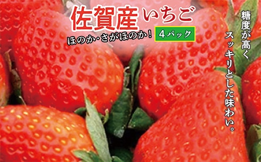 【2027年1月から順次発送】佐賀産 いちご 『 ほのか 』『 さがほのか 』 品種おまかせ 4パック _b-387