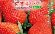 【2027年1月から順次発送】佐賀産 いちご  『 ほのか 』『 さがほのか 』 品種おまかせ 4パック _b-387