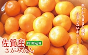 佐賀産 さがみかん 約 10kg 箱 b-388