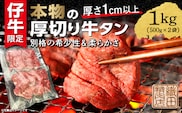 b-446 厚切り牛タンステーキ 塩味 1kg（500g×2）