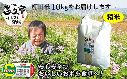 【令和8年産 新米】しょうちゃんの棚田米 夢しずく 米 10kg 佐賀県産 精米 栽培期間中農薬・化学肥料不使用 _c-42