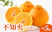 不知火 しらぬい 約5kg _c-143
